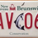 Salmon Conservation license Plate Fish Park wildlife wild animal Fishing NAV 064