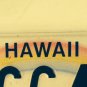 Hawaii AMERICA UNITED September 11 license plate 9/11 9.11 Terrorism We Stand