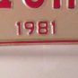 Vanity LISHA license plate Lashae Lesha Leisha Leesha Licha Alicia Felicia Lisa