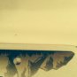 Vanity SNOW BUS license plate Ski Skiing Snowboard Snowbowl Whitefish Mountain