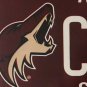 AZ COYOTES ICE HOCKEY license plate MHL Glendale Gila River Arena Phoenix