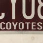 AZ COYOTES ICE HOCKEY license plate MHL Glendale Gila River Arena Phoenix