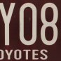 AZ COYOTES ICE HOCKEY license plate MHL Glendale Gila River Arena Phoenix