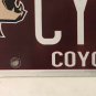 AZ COYOTES ICE HOCKEY license plate MHL Glendale Gila River Arena Phoenix
