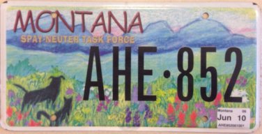 PET ADOPTION ANIMAL FRIENDLY license plate Dog Cat Shelter Lover Puppy K9 Kitten