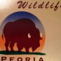 WILDLIFE Buffalo Prairie license plate Bison Wild Animal Environment Indian IL