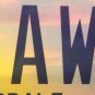 Vanity SKY HAWK license plate Pilot Plane Douglas Aircraft Jet Flying Wildlife