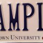 D.C. GEORGETOWN UNIVERSITY license plate DC Columbia Hoyas Saxa Jack Bulldog VA