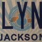 Vanity BROOKLYN NY license plate NYC Manhattan Bridge borough Heights Coney Park
