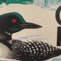ACADIA National Park NATURAL TREASURE license plate Wildlife Rider bird watching