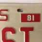 TX vanity FEMINIST license plate Women Rights Liberation Equality Sexes Pay Vote