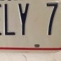 Vanity ASHELY ASHLEY license plate Ashlee Ash Ashlea Ashly Ashlie Ashlei Shely