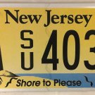 BARNEGAT LIGHTHOUSE license plate Light House Cape May Beach Shore Atlantic City