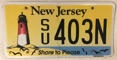 BARNEGAT LIGHTHOUSE license plate Light House Cape May Beach Shore Atlantic City