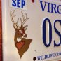 Virginia Wildlife DEER vanity ONE SHOT ONE KILL license plate hunting Hunter