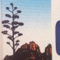 BIG BEND NATIONAL PARK MOTORCYCLE license plate Desert Rio Grande hiking Wild