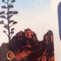 BIG BEND NATIONAL PARK MOTORCYCLE license plate Desert Rio Grande hiking Wild