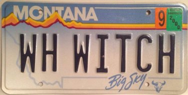 Vanity WHITE WITCH license plate Narnia Wizard Oz MAGIC Magician Witchcraft