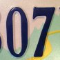 Virginia DRIVE SMART Handicap license Plate Wheelchair Driving School Disabled