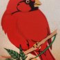 WILDLIFE CARDINAL BIRD license plate Wild Animal Nature Watching Park Cardinalis