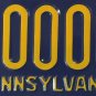 Pennsylvania U.S. COAST GUARD RESERVE license plate Coastie USCG PA