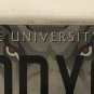 UNIVERSITY ALABAMA vanity DADDY GIRL license plate Roll Tide Dad Bama Fan Father