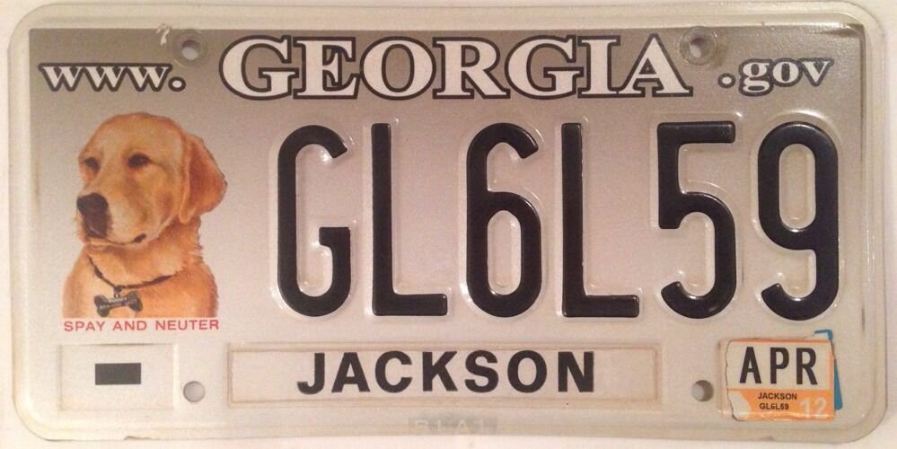 GOLDEN RETRIEVER LABRADOR license plate Dog Rescue Animal Lover