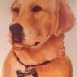 GOLDEN RETRIEVER LABRADOR license plate Dog Rescue Animal Lover Friendly Pet Lab