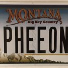 Montana vanity PHEEONA PHIONA FIONA license plate Shrek Princess Fio Ogre King