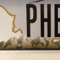 Montana vanity PHEEONA PHIONA FIONA license plate Shrek Princess Fio Ogre King