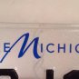 Michigan LAKE SUPERIOR STATE UNIVERSITY license plate Fog Horn Seamore Sea Duck