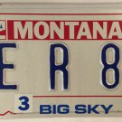 MT vanity WE ARE number 88 license plate NASCAR Dale Earnhardt Jr 1988 Stock Car