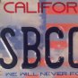 CALIFORNIA United We Stand Vanity JUST BECAUSE license plate Terrorism God 9/11