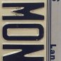 IL vanity SIMON 4 license plate Simone Symon Simonson Szymon Sim Shimon Simeon