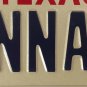 TX vanity GINNA GINA 1 license plate Regina Gena Geena Jenna 1994