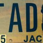 Vanity TAD's GIRL license plate Thaddeus Thad Tadd Tadhg Tadeo Ted Tadao Tadi