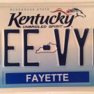 Vanity DEE VYN DEVINE license plate Dorothy Diane Delia Denise Vyncent Vinny