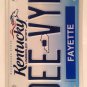 Vanity DEE VYN DEVINE license plate Dorothy Diane Delia Denise Vyncent Vinny