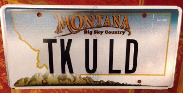 MT vanity TRUCK YOUR LOAD license plate Driver Trucker Pickup Truckie Lorry Van