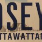 Vanity ROSEY ROSE license plate Rosie Rozy Rosy Rosita Rosina Rosa Rosetta Rosi