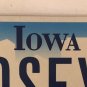 Vanity ROSEY ROSE license plate Rosie Rozy Rosy Rosita Rosina Rosa Rosetta Rosi