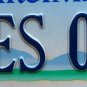 Virginia Meadow vanity ONES OUT license plate Odd Separate Different