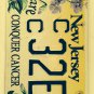 Conquer Cancer Survivor license plate breast oncology Race For Cure Komen pink