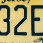 Conquer Cancer Survivor license plate breast oncology Race For Cure Komen pink