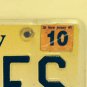 Conquer Cancer Survivor license plate breast oncology Race For Cure Komen pink