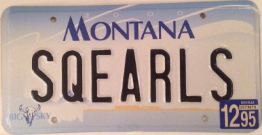 Vanity SQUIRRELS license plate Wild Animal chipmunk marmot Flying rodent