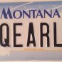 Vanity SQUIRRELS license plate Wild Animal chipmunk marmot Flying rodent