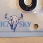 MT vanity 00 ZEBRA license plate Wildlife Wild Animal Zoo Jungle Safari Africa