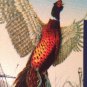 WILDLIFE PHEASANT license plate Sportsman Quail hunt Partridge fowl Wild Animal