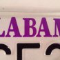 ARTS license plate artistic musical festival VMFA Museum Carnival theater actor